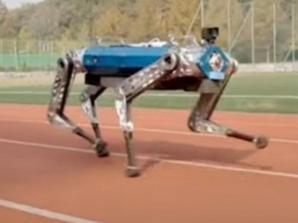 Четвероногий робот впервые пробежал стометровку менее чем за 20 секунд