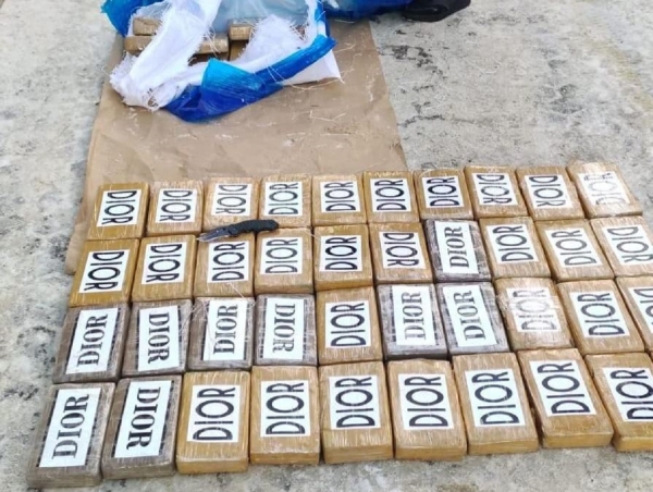 «Больше бюджета Тамбова»: в Петербурге изъяли кокаин на 11 млрд рублей (ФОТО, ВИДЕО)