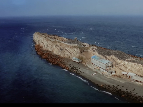 Вышел документальный фильм о загадочном острове "Тюлений" в Охотском море