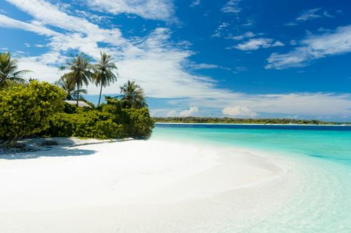 Один из основателей Google Ларри Пейдж купил остров за $32 млн