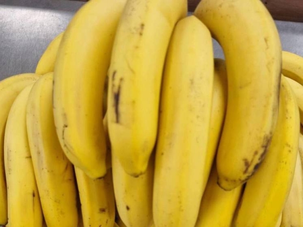 В ящиках с бананами обнаружен удивительный по размерам криминальный груз: «Четкий сигнал преступникам»