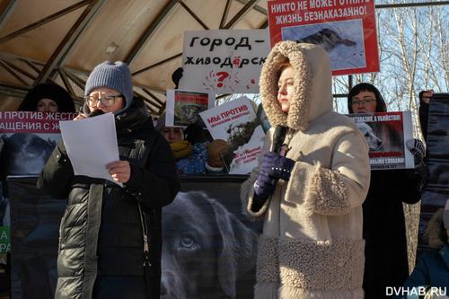 Зооактивисты в Хабаровске призвали к линчеванию и самосуду