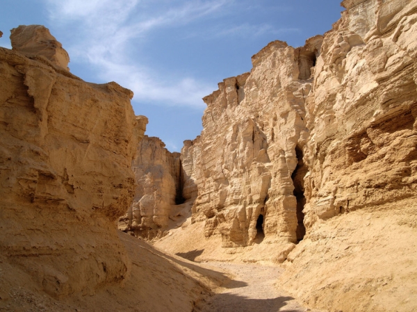 Свиток с древним гороскопом найден в Иудейской пустыне: след таинственной секты