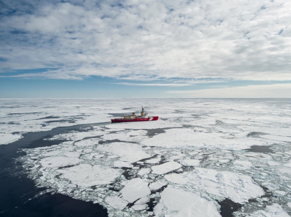 Уровень морского льда в Антарктике достиг тревожно низкого уровня
