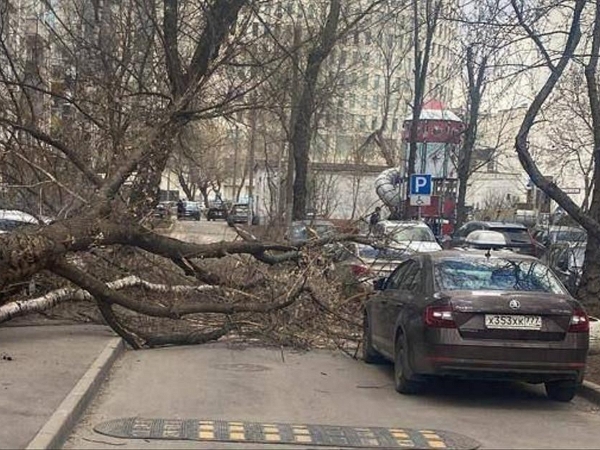 Два человека стали жертвами сильного ветра в Москва, еще 15 пострадало (ФОТО)